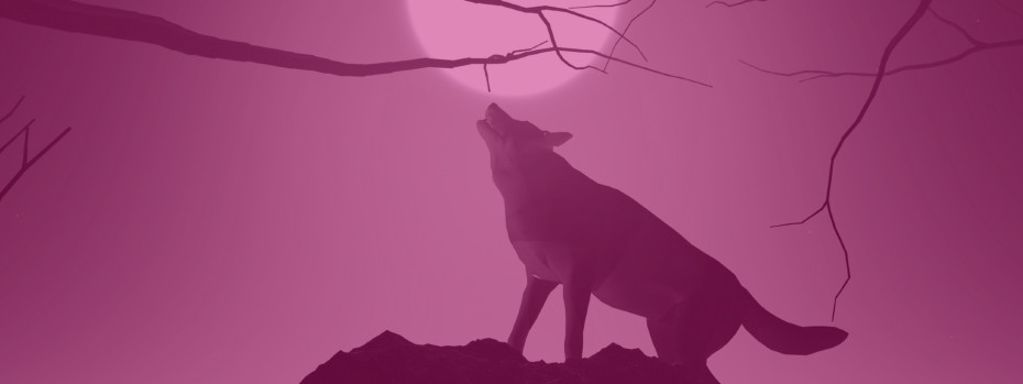 Event cover image
